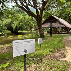  Lodge Ambong Rainforest Retreat Malasia